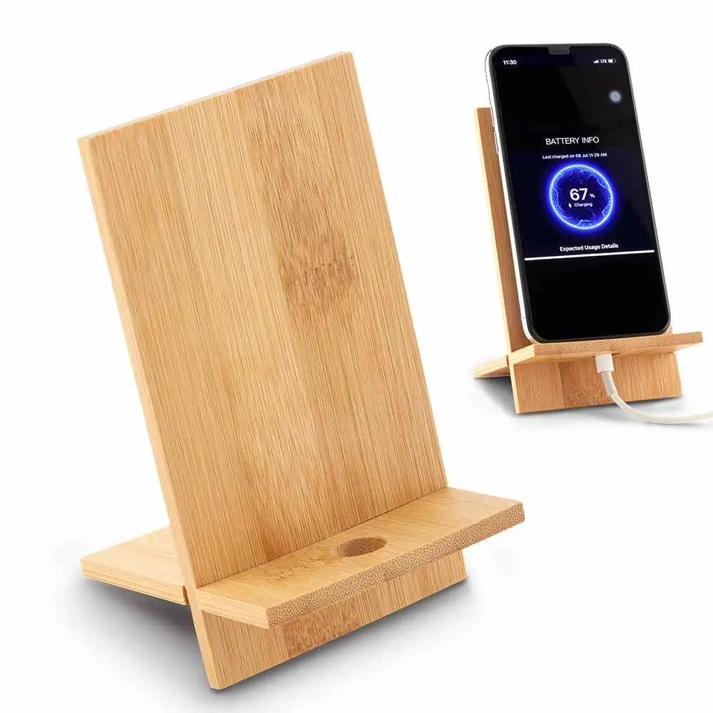 Ecológicos promocionales